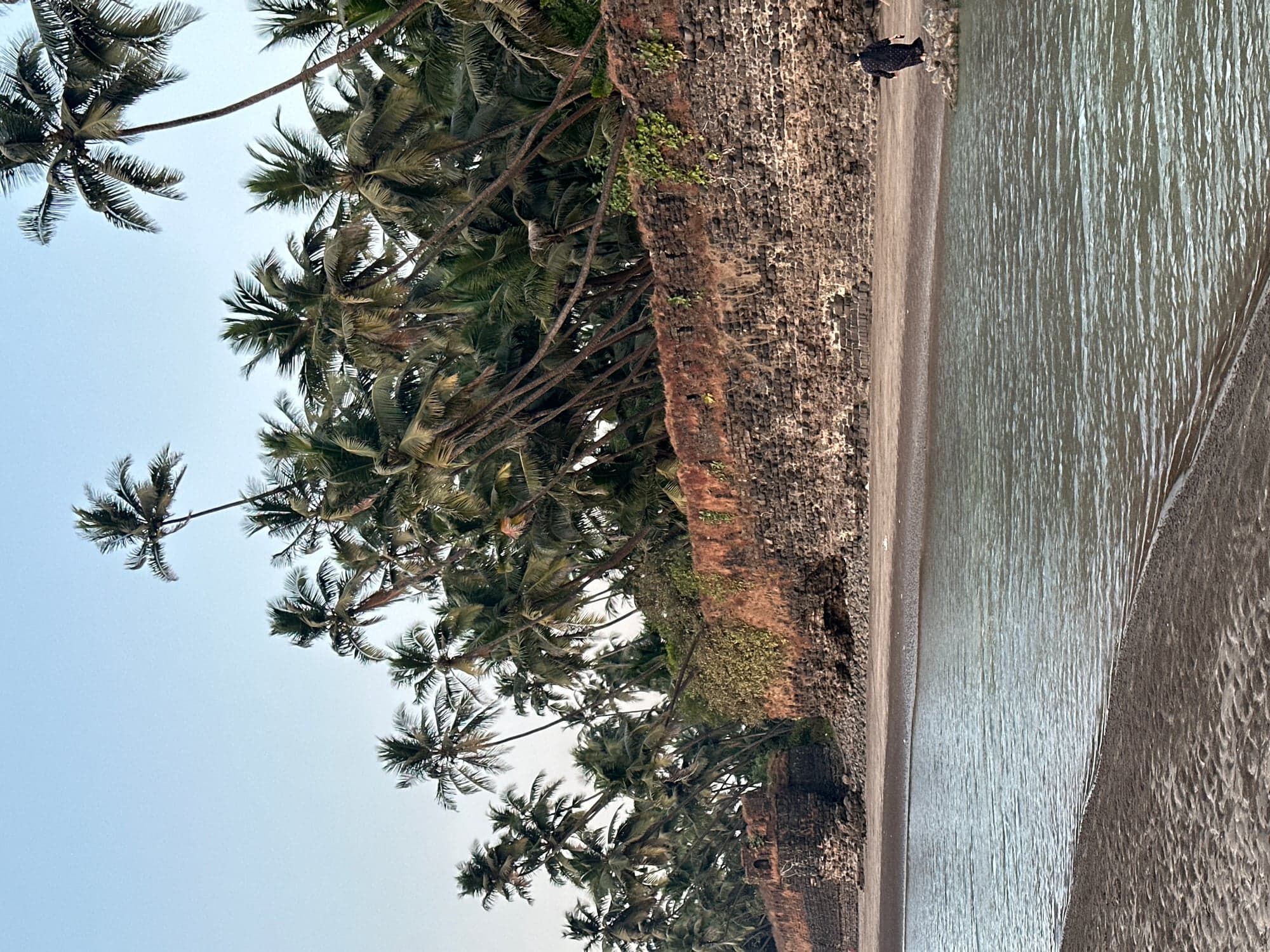 Zoom image 5