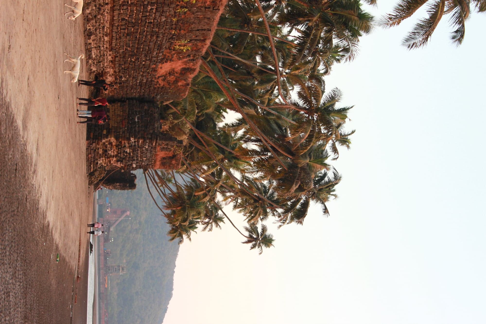 Zoom image 6
